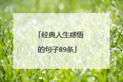 经典人生感悟的句子89条