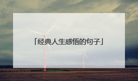 经典人生感悟的句子