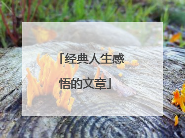 经典人生感悟的文章