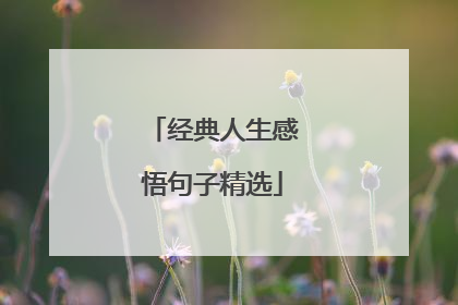 经典人生感悟句子精选