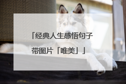 经典人生感悟句子带图片「唯美」