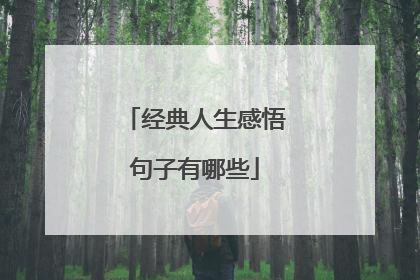 经典人生感悟句子有哪些