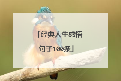 经典人生感悟句子100条
