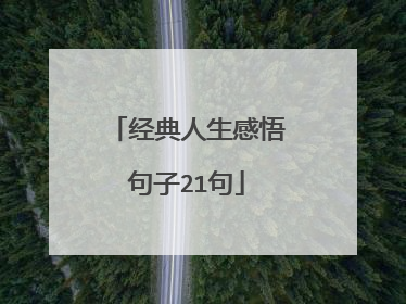 经典人生感悟句子21句