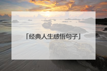 经典人生感悟句子