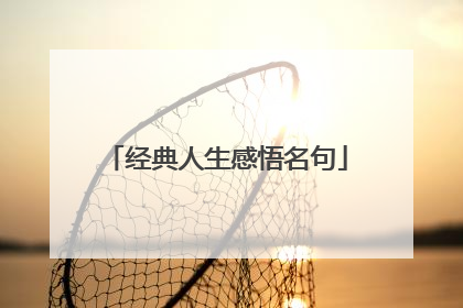 经典人生感悟名句