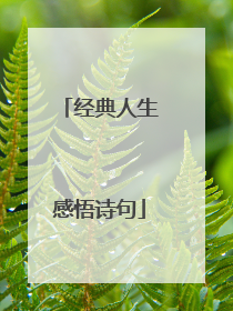 经典人生感悟诗句