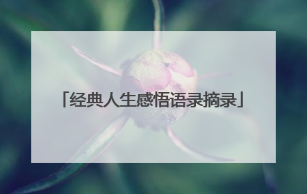经典人生感悟语录摘录