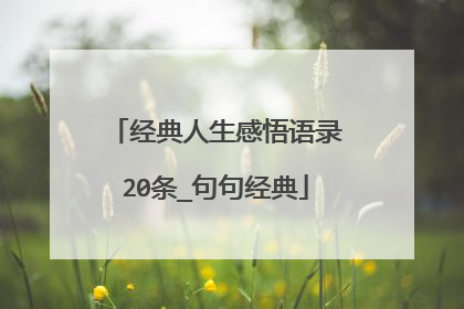 经典人生感悟语录20条_句句经典