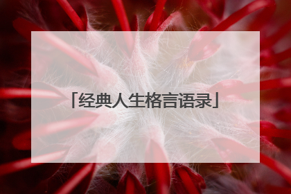 经典人生格言语录