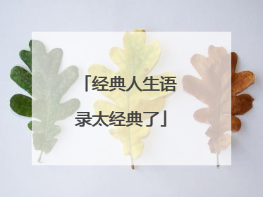 经典人生语录太经典了