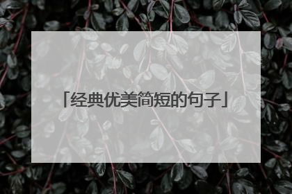 经典优美简短的句子