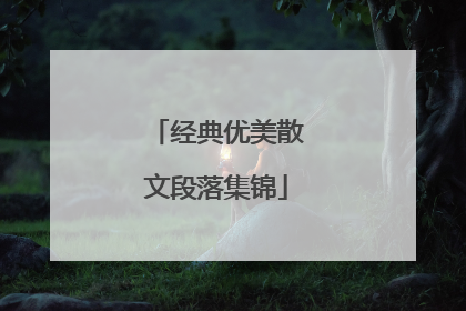 经典优美散文段落集锦