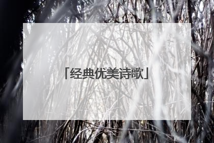 经典优美诗歌