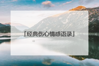 经典伤心情感语录