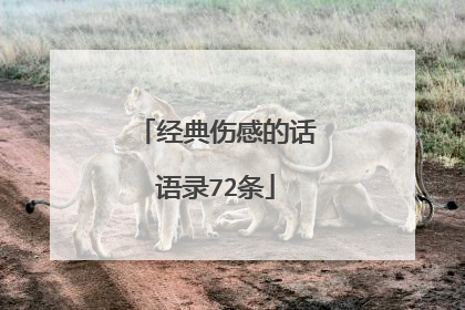 经典伤感的话语录72条
