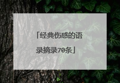 经典伤感的语录摘录70条