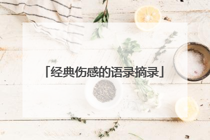 经典伤感的语录摘录