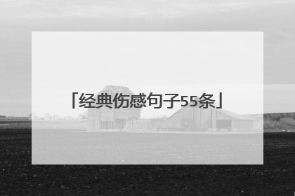 经典伤感句子55条