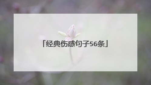 经典伤感句子56条