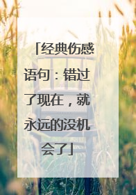 经典伤感语句:错过了现在,就永远的没机会了