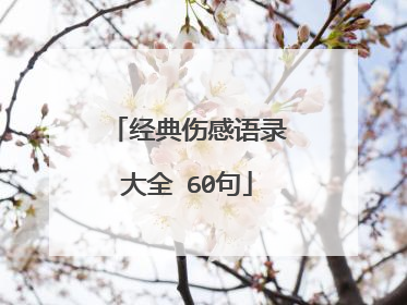 经典伤感语录大全 60句