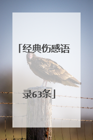 经典伤感语录63条