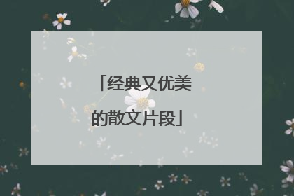 经典又优美的散文片段