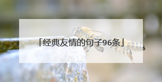 经典友情的句子96条