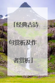 经典古诗句赏析及作者赏析
