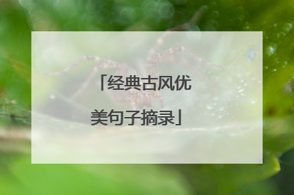 经典古风优美句子摘录