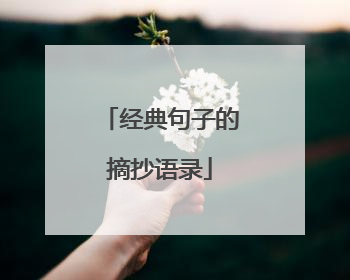 经典句子的摘抄语录