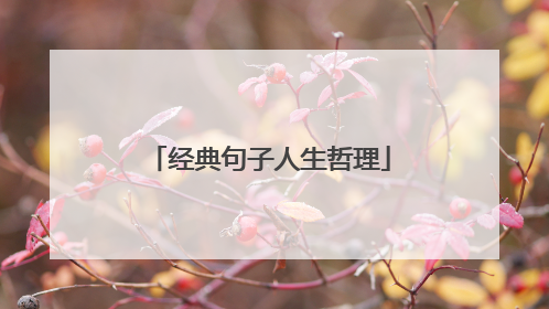 经典句子人生哲理