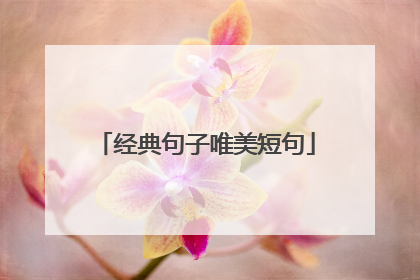 经典句子唯美短句