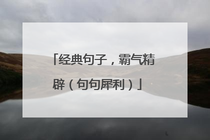 经典句子，霸气精辟（句句犀利）