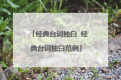 经典台词独白 经典台词独白范例