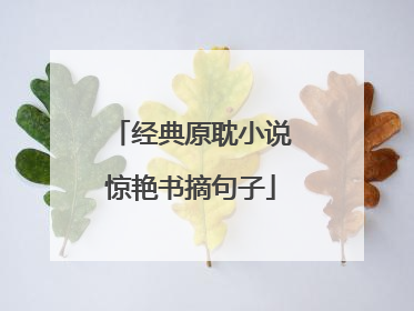 经典原耽小说惊艳书摘句子