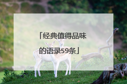 经典值得品味的语录59条