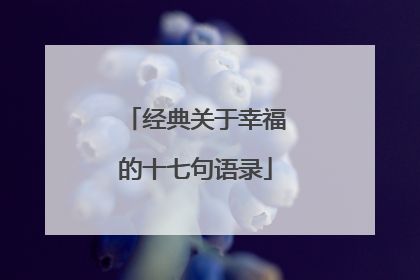 经典关于幸福的十七句语录