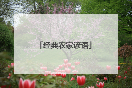经典农家谚语