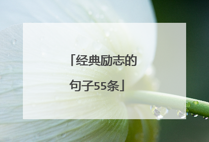 经典励志的句子55条