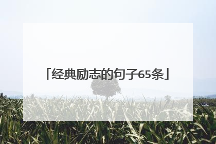 经典励志的句子65条
