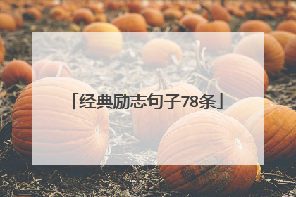 经典励志句子78条