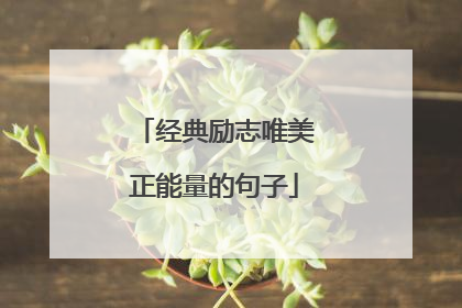 经典励志唯美正能量的句子