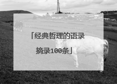 经典哲理的语录摘录100条