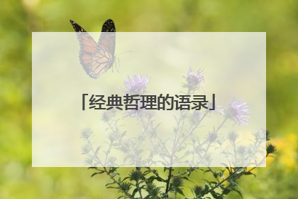 经典哲理的语录