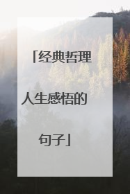经典哲理人生感悟的句子