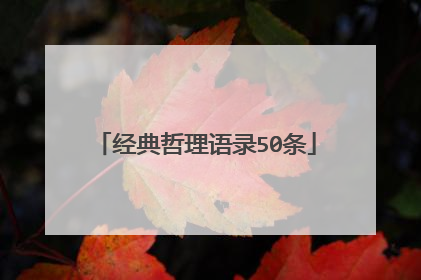 经典哲理语录50条