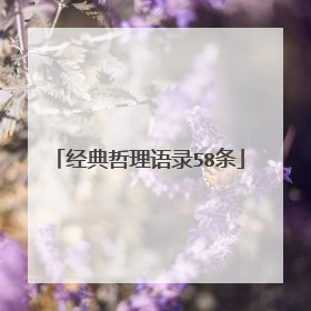 经典哲理语录58条
