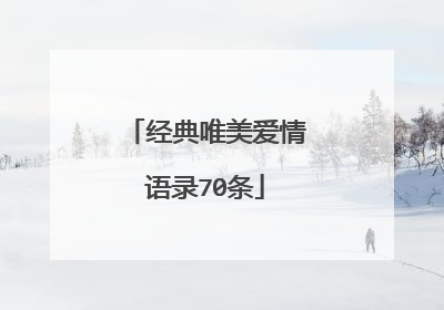 经典唯美爱情语录70条